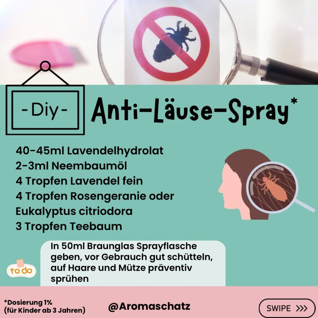 Anti-Läuse-Spray Rezept